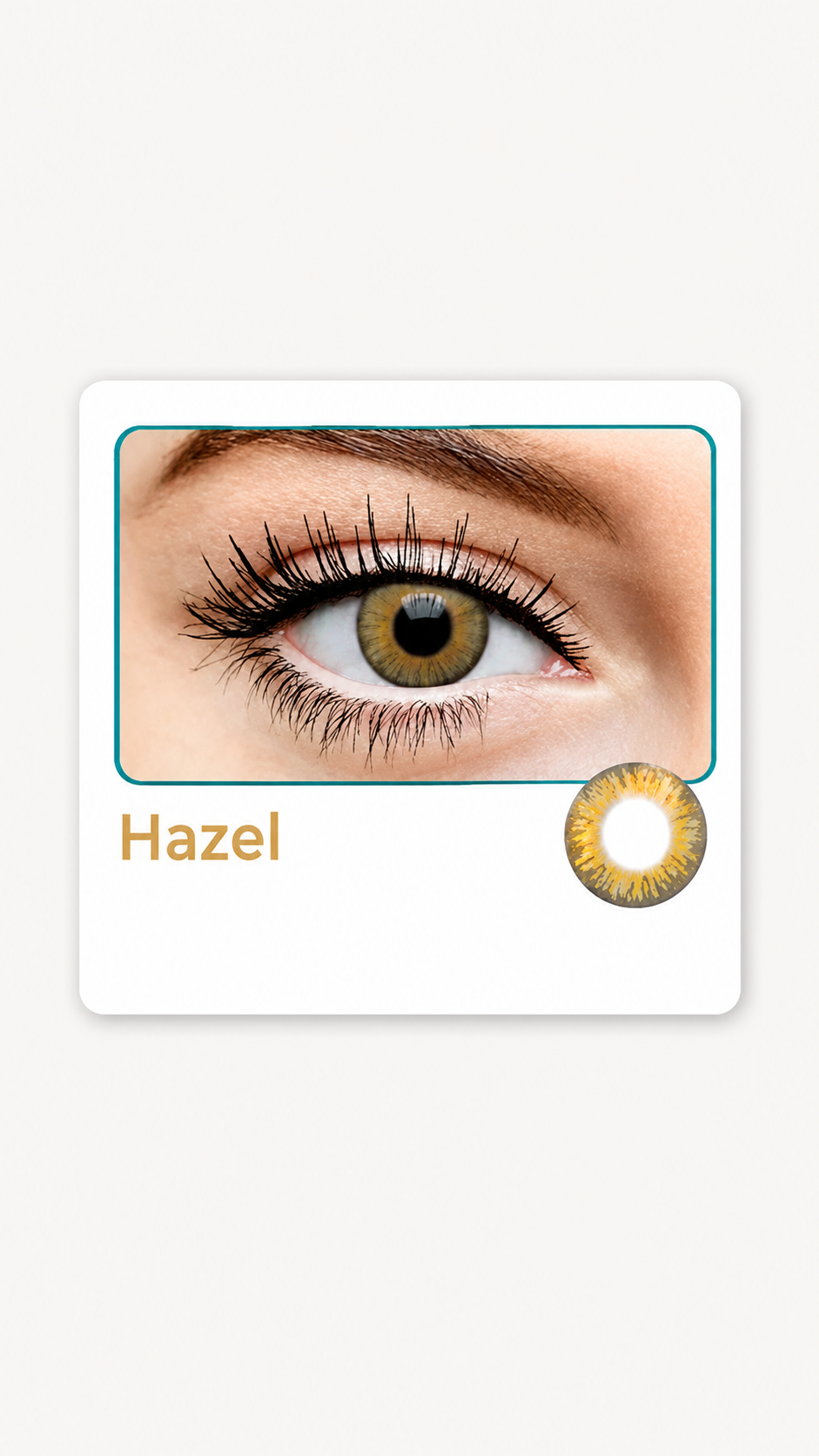 Bausch & Lomb Lacelle Premium HAZEL Color Contact Lens (1 Lens/Box)