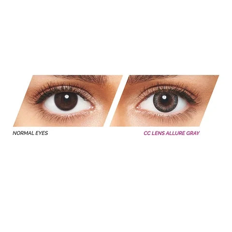 Freshlook FLCC OneDay ALLURE GRAY Color Contact Lens 10 Lens Box
